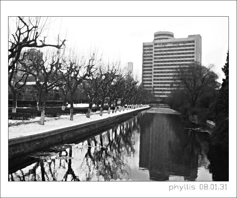 华师大冬景 摄影 phyllis
