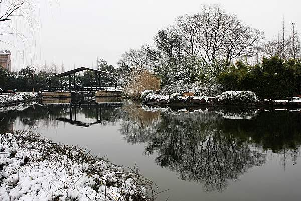 静静的雪 摄影 水灵儿