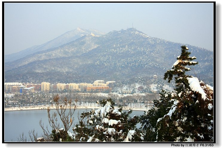 雪后钟山 摄影 joulus