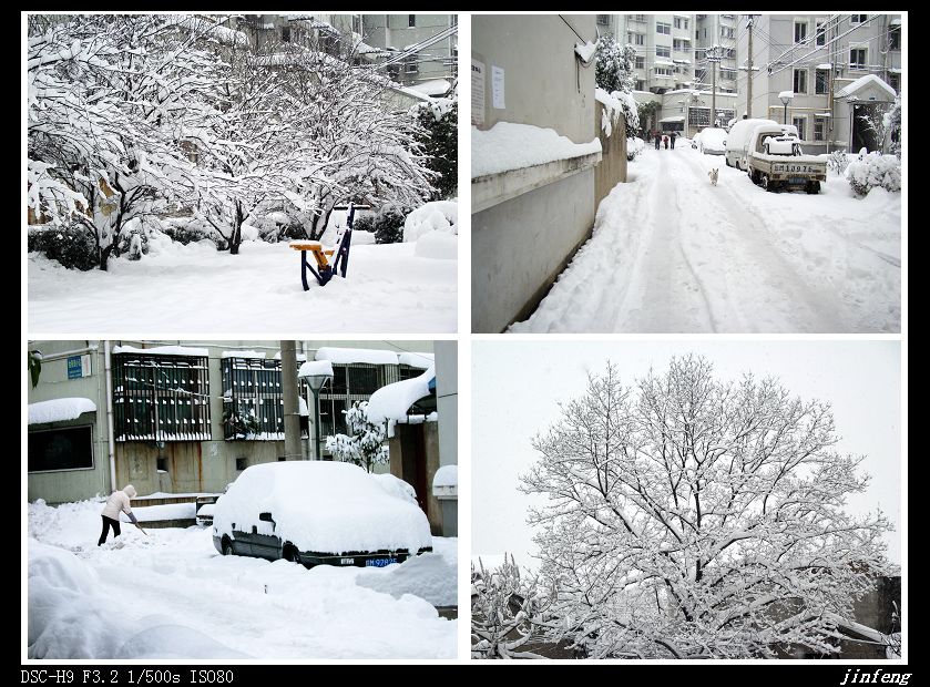 小区雪景 摄影 金风