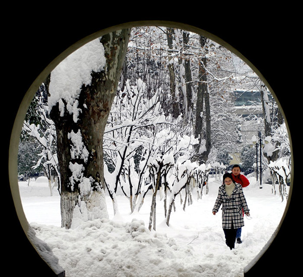 踏雪归来 摄影 镜头中的世界