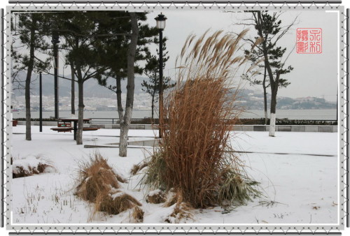 雪韵 摄影 董永利