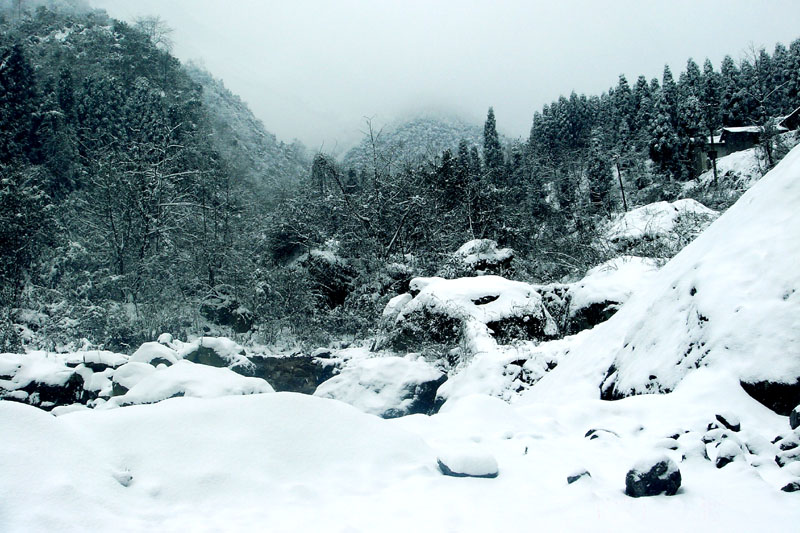 林海雪原 摄影 紫色女人