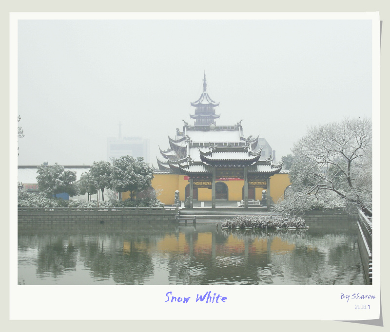 雪盖天宁寺 摄影 龙猫宝宝贝