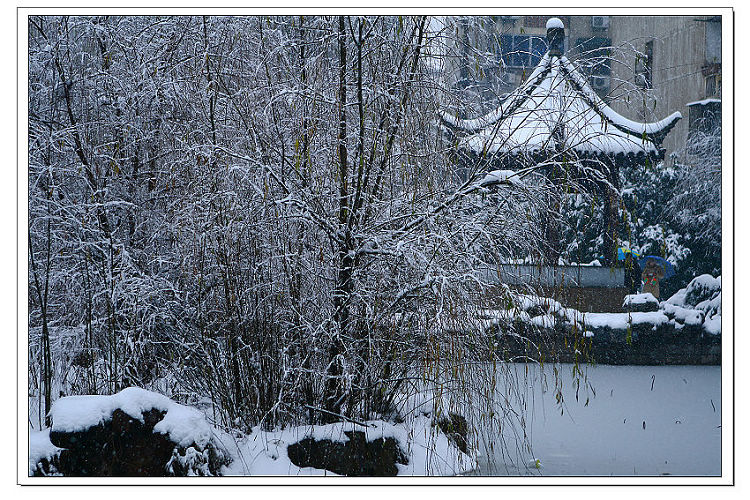 家门口小公园雪景 摄影 句吴潜人