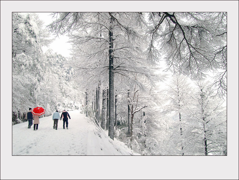 《踏雪》 摄影 余姚彤影