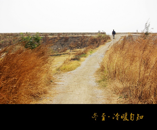 冬至  冷暖自知7 摄影 雪雁