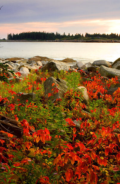 Acadia National Park, Maine/US 摄影 yuhan