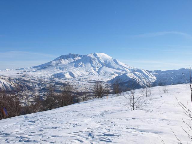 雪 摄影 木心