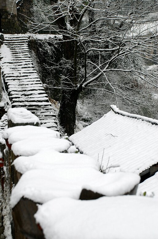 探雪景之路 摄影 亥老二