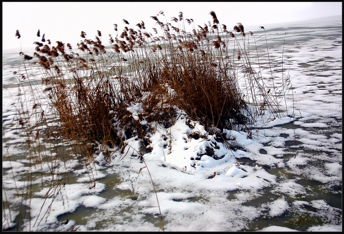 徐州2008年第一场雪 摄影 风影之韵