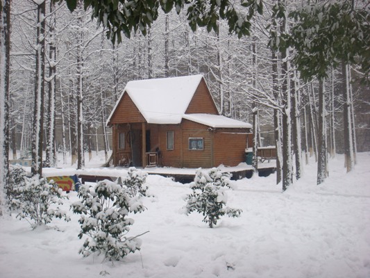 雪地木屋 摄影 岚馨