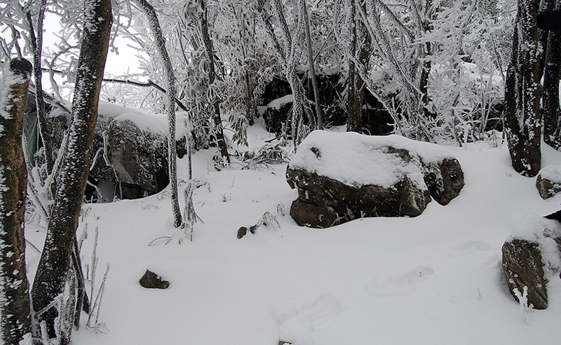 冰雪天门山-3 摄影 野茉莉