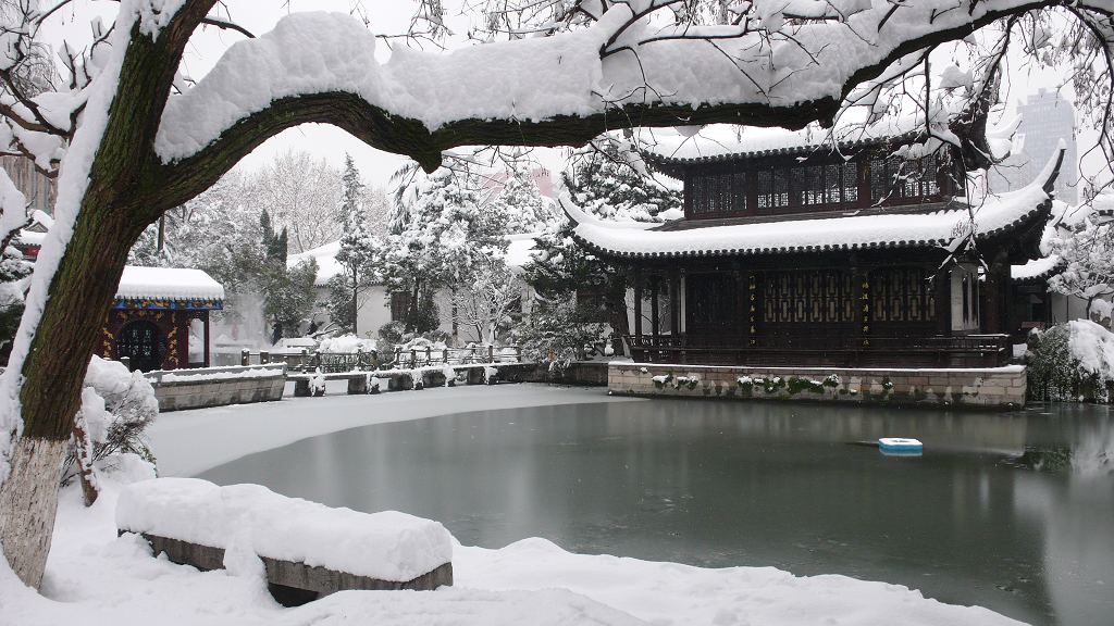 雪景（一） 摄影 飘移大可