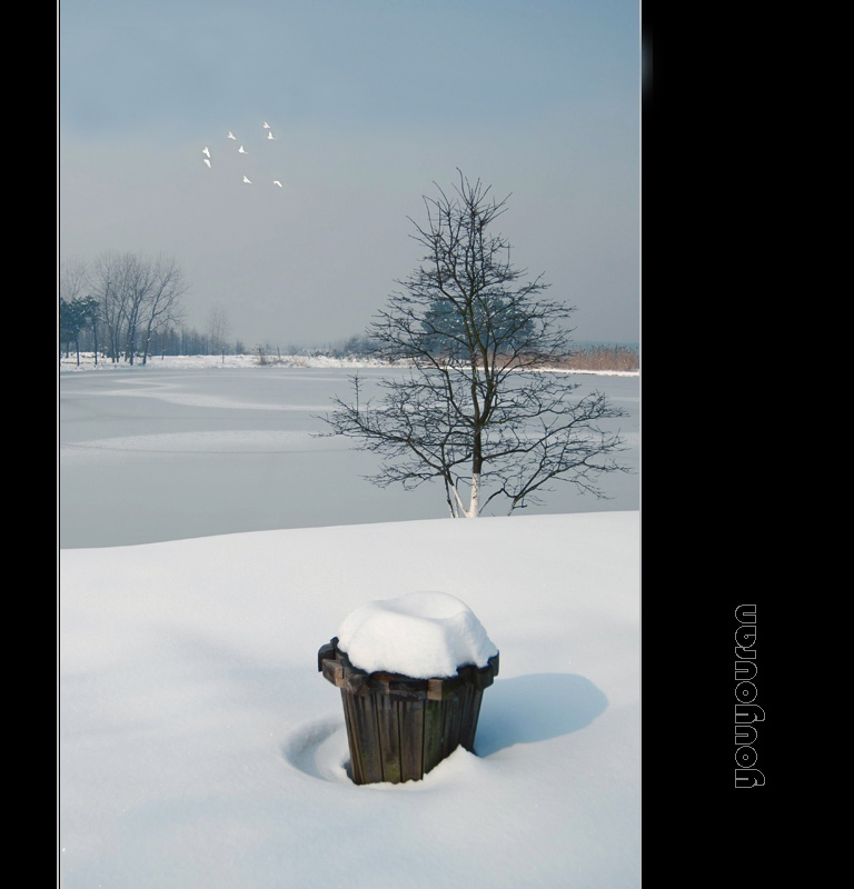 雪后 摄影 悠悠然