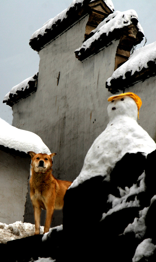 白雪公主与狗 摄影 一见