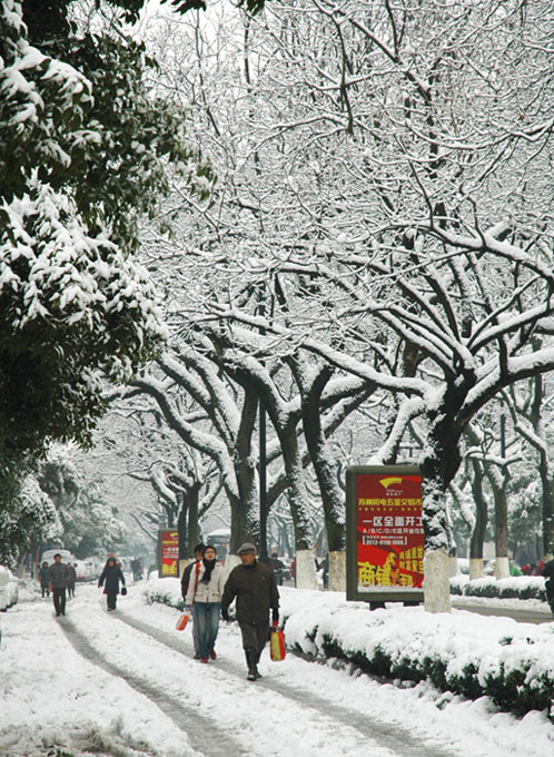 苏州街头的雪景 摄影 纪津