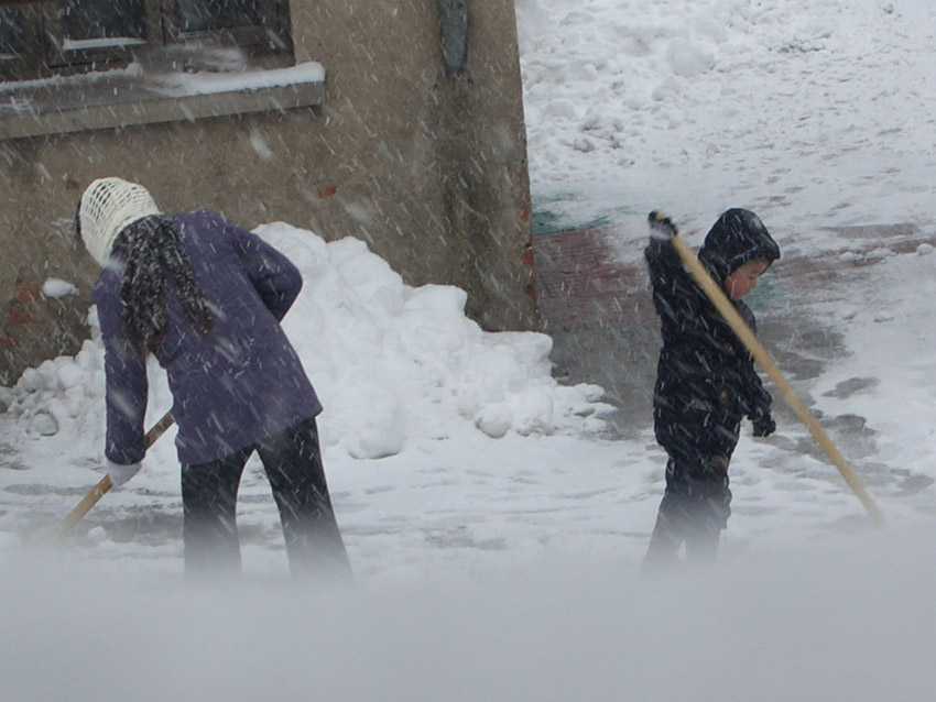 抗风斗雪 摄影 若木