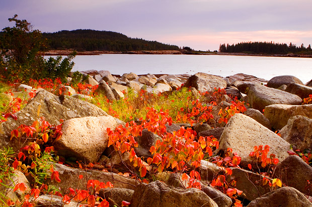 Acadia National Park, Maine/US 摄影 yuhan