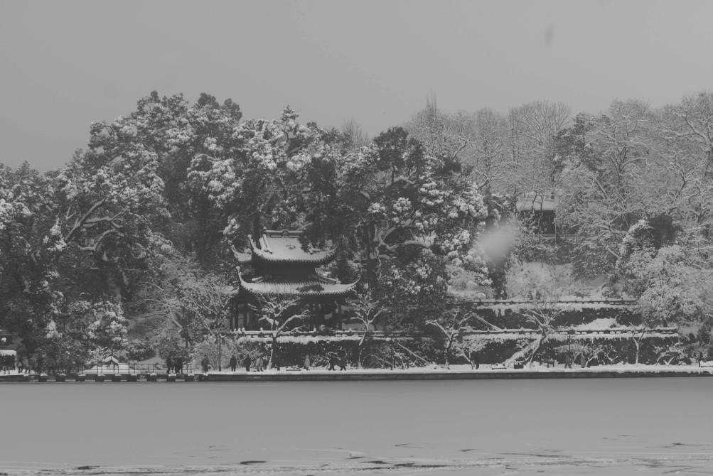 杭州西湖雪景 摄影 zx59