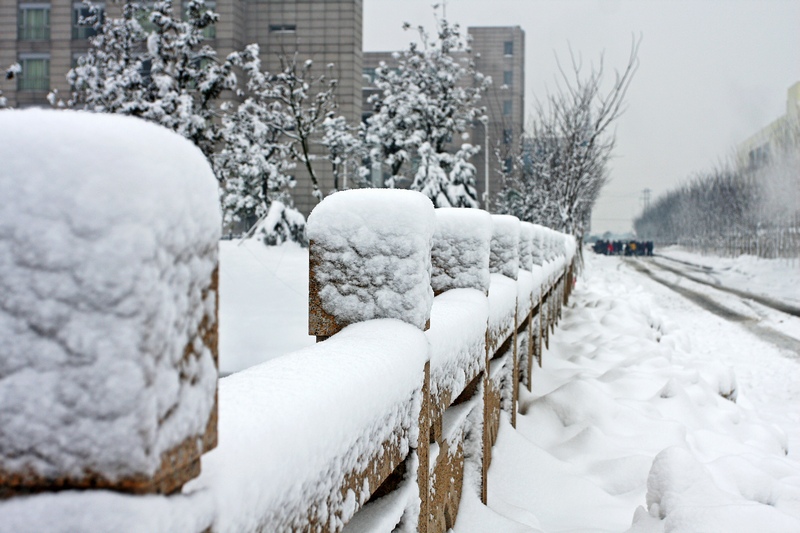 雪后 摄影 跟风者