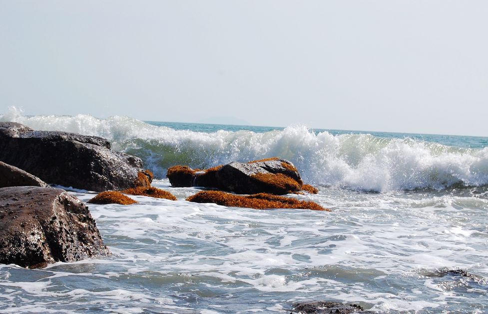 海浪3 摄影 秋诗