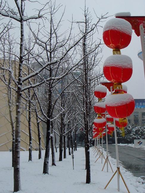 雪景 摄影 雪影越风