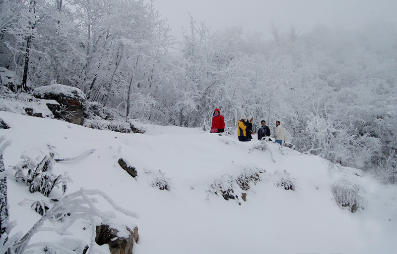 冰雪天门山-4 摄影 野茉莉