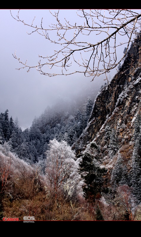 毕棚沟雪景 摄影 暗房小工