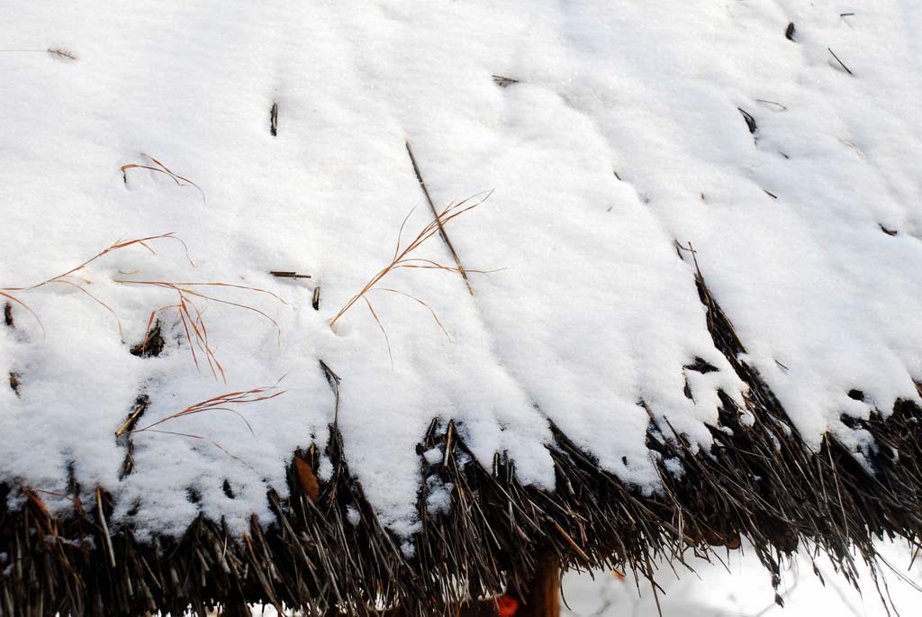 瑞雪一点点T 摄影 朱浩菡