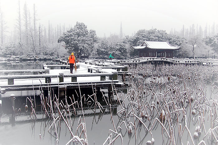 西湖雪景 摄影 杭州老潘