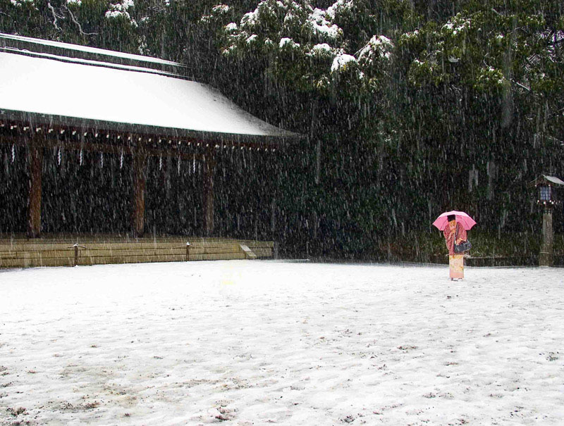 雪 摄影 yangxiaolin