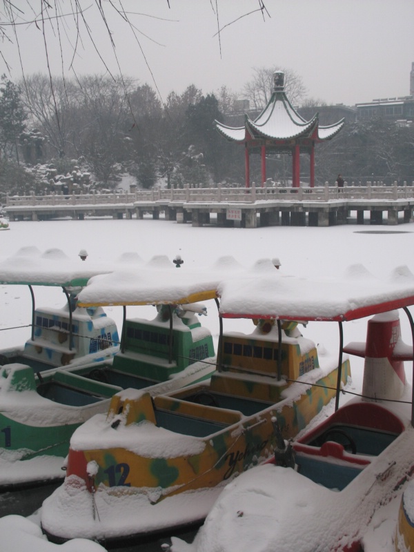 冬雪 摄影 阳光灿烂中