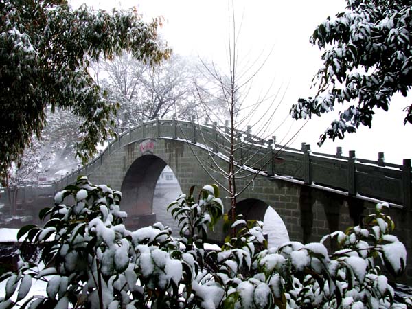 瑞雪月亮桥 摄影 荷池月影