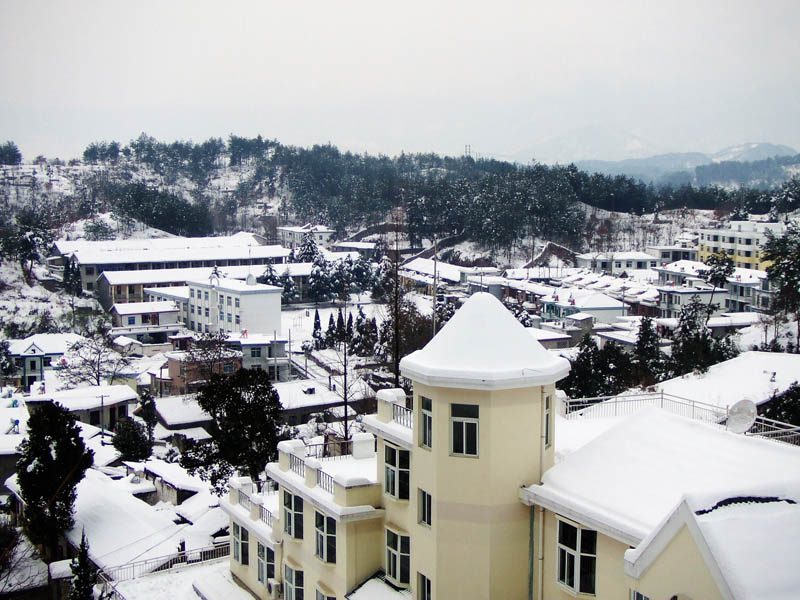 雪景（11） 摄影 司空情缘