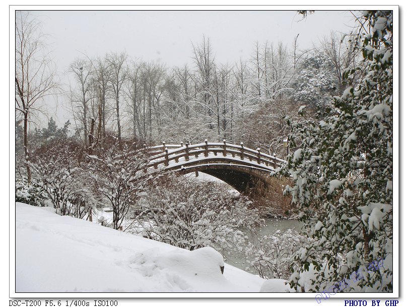 桥·雪 摄影 海天茫茫