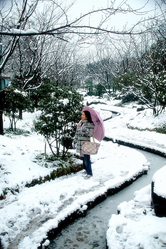 赏雪 摄影 曹开林