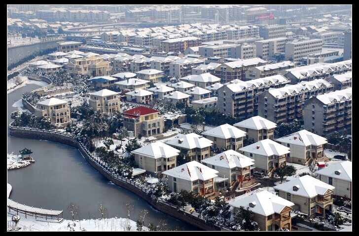 雪城 摄影 紫竹常绿