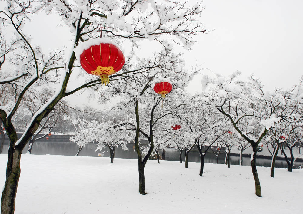 瑞雪兆丰年 摄影 枫..叶