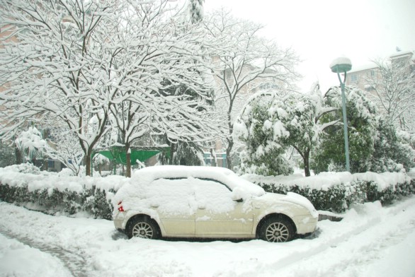 看看杭州的大雪 摄影 花枝俏