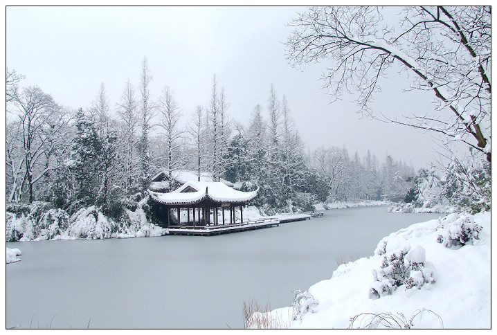 花圃雪景 摄影 向望