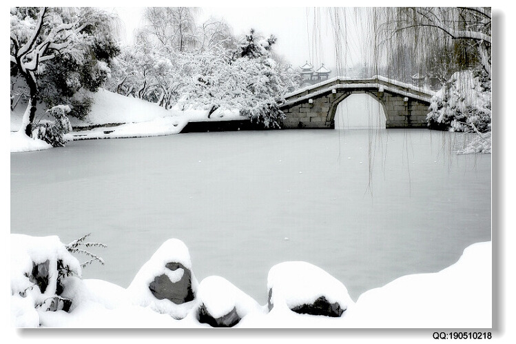 瘦西湖雪景 摄影 周健