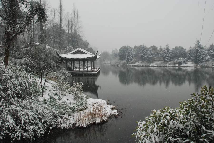 西湖雪 摄影 天目