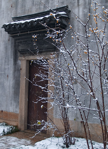 梅开雪后 摄影 jiarong