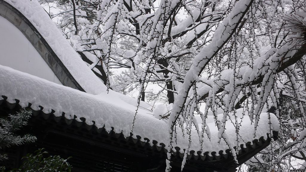 雪景（二） 摄影 飘移大可