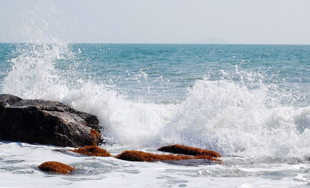 海浪4 摄影 秋诗