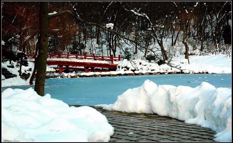 世纪之雪——3 摄影 lingsu