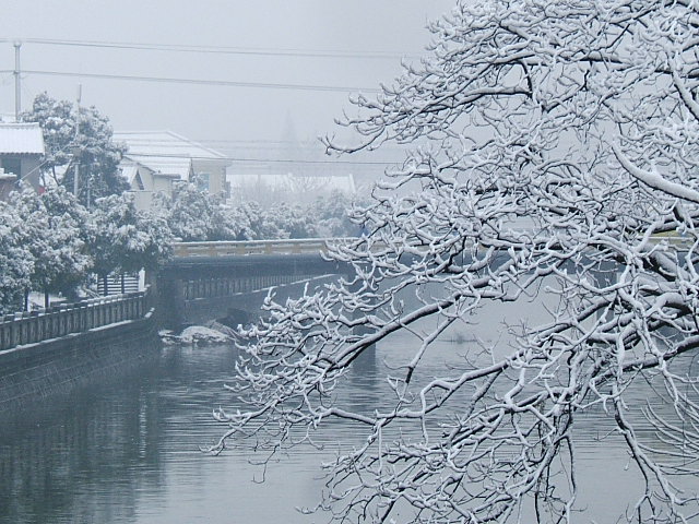 雪景 摄影 自然的遐想