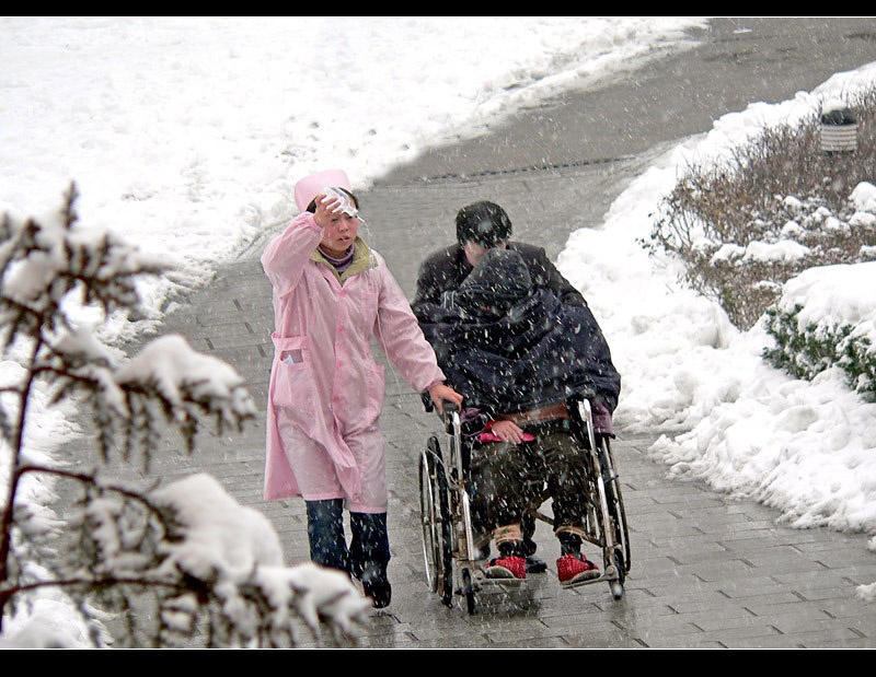 《雪中情》 摄影 江淮游子