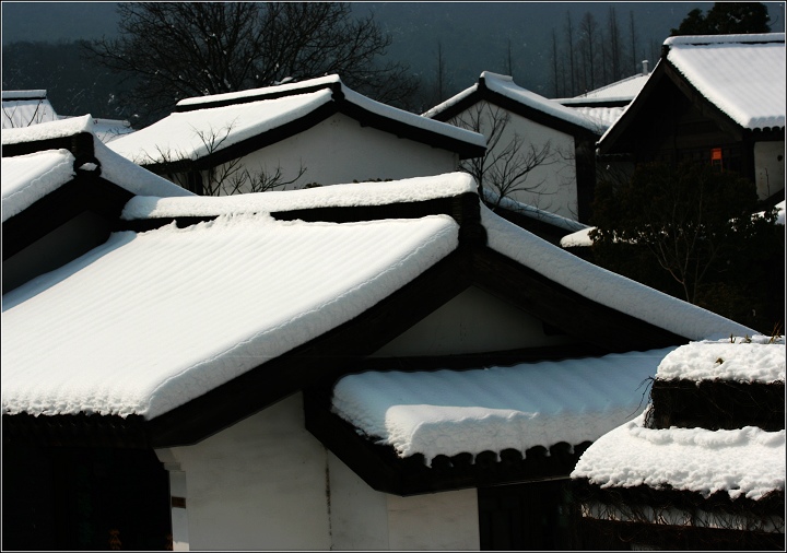 雪后杭州 摄影 晚风柳笛